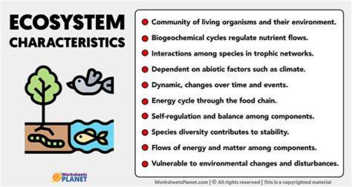 What are the main characteristics of a stable financial system?