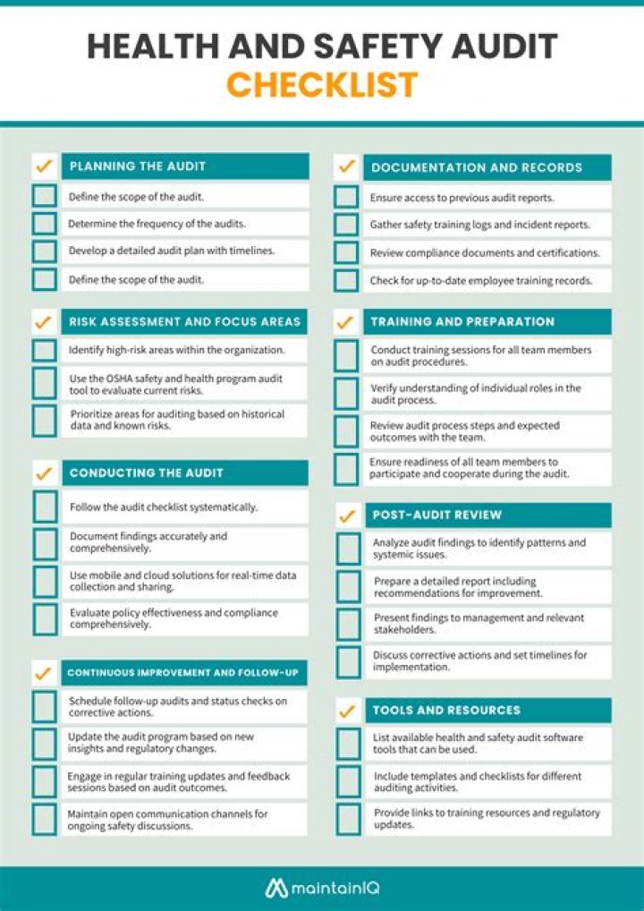 What are the main features of a health and safety audit?