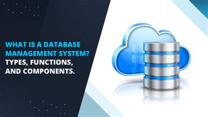 What are the main functions of database?