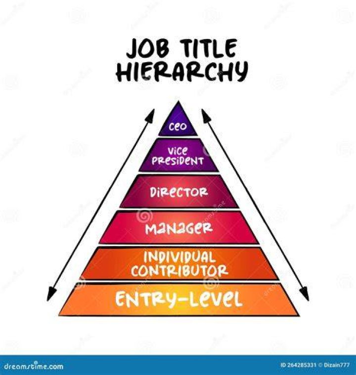 What are the main job titles?