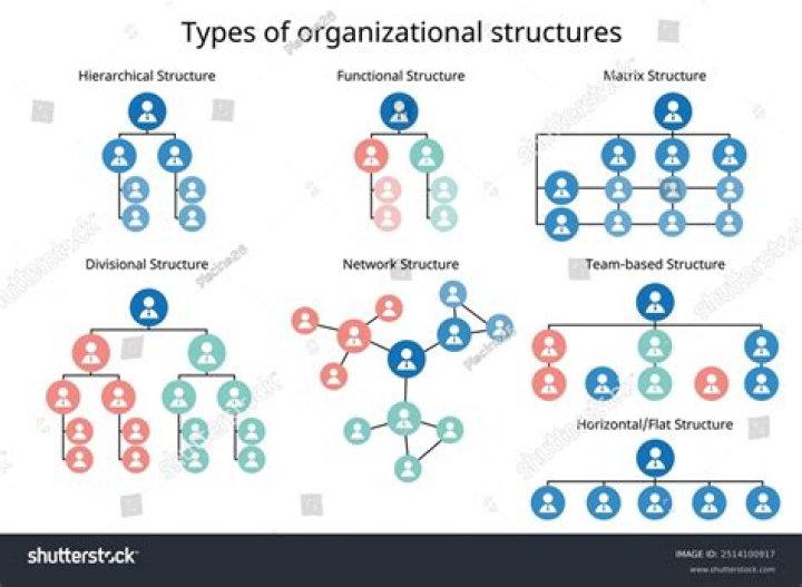 What are the models of organizational structure?