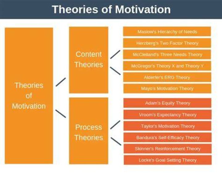 What are the motivation theories in business?