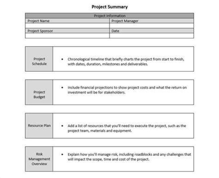 What are the parts of a project plan?