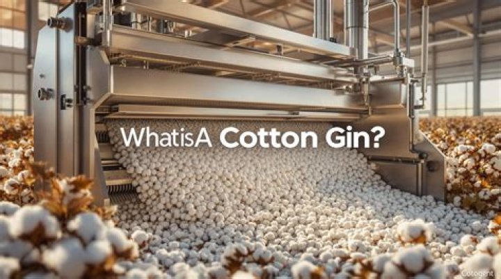 What are the parts of the cotton gin?