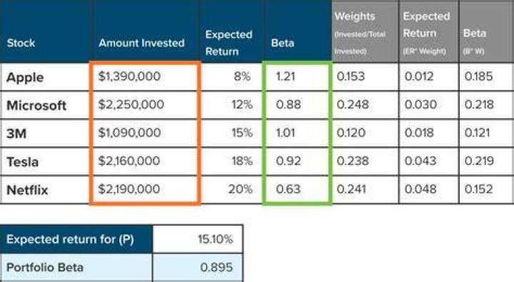 What are the portfolio weights of each stock?