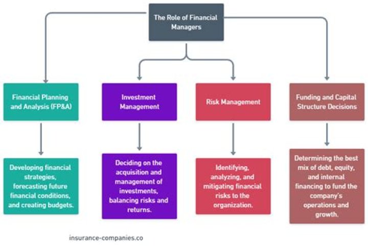 What are the primary responsibilities of the financial manager?