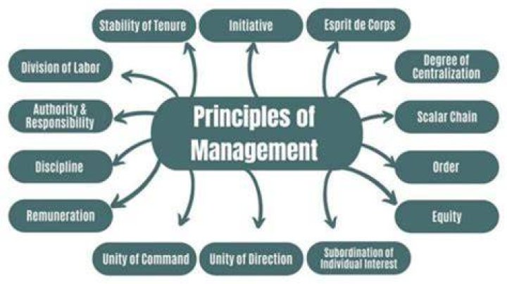 What are the principles of industrial management in an organization?