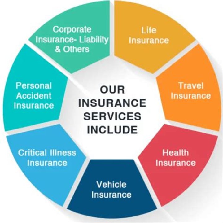What are the products and services offered by insurance companies?
