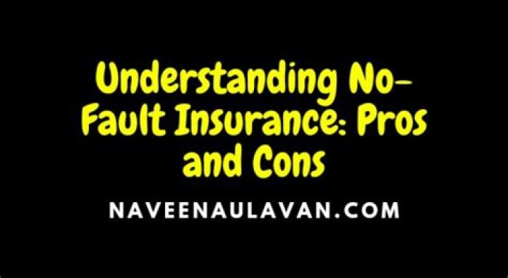 What are the pros and cons of no fault insurance?