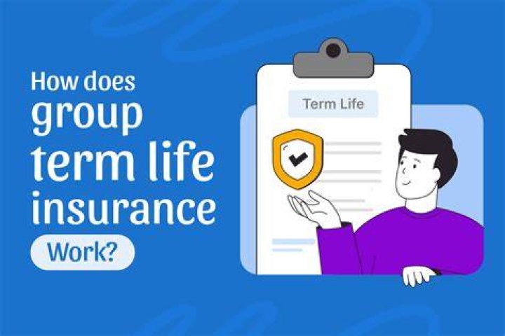 What are the pros and cons of term life insurance?