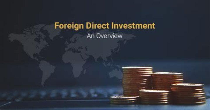 What are the reasons for foreign direct investment?