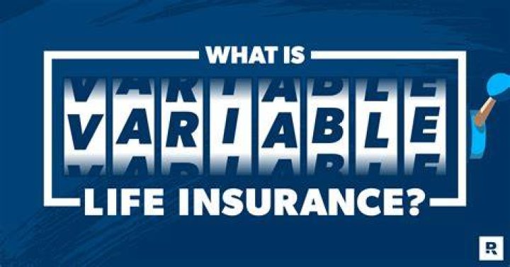What are the risks of variable life insurance?