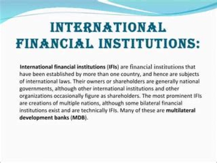 What are the role of international financial institutions?