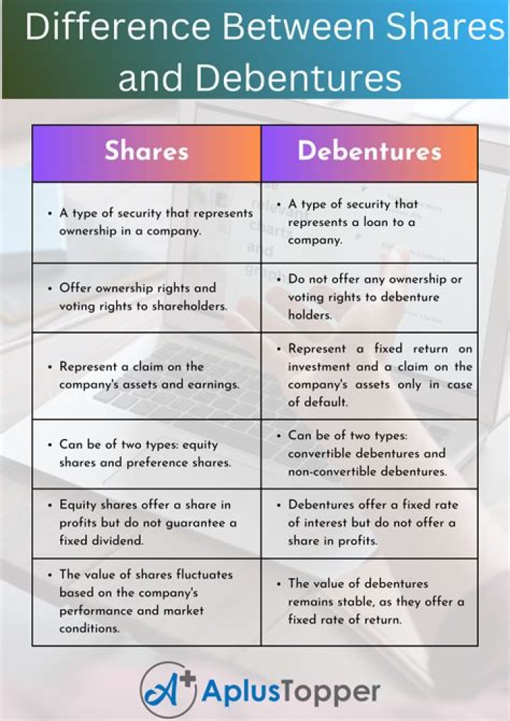 What are the shares and debentures?