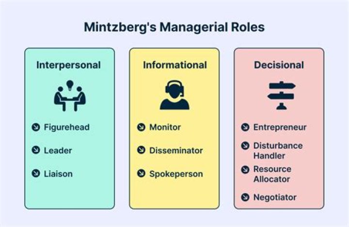 What are the three basic roles for P P officers?
