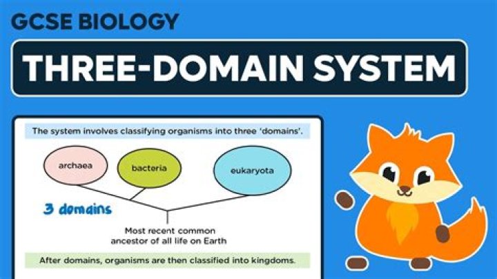 What are the three major subsystem?
