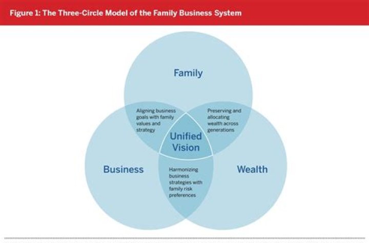 What are the three types of family business?