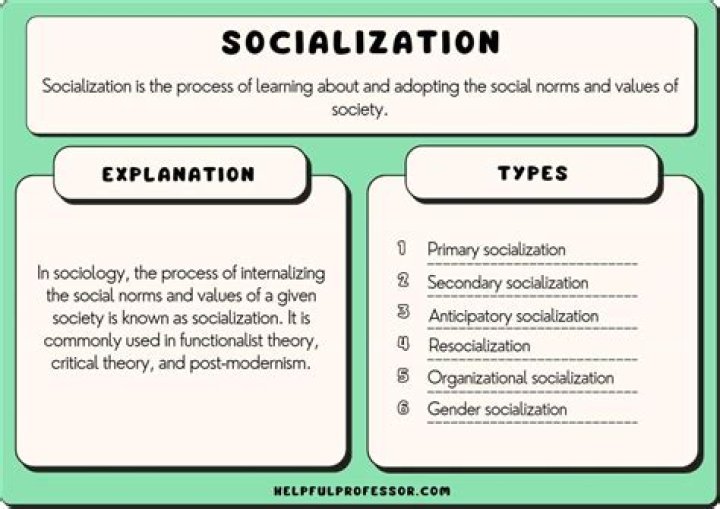 What are the two types of Socialisation?