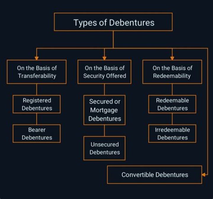 What are the types of debentures in company law?