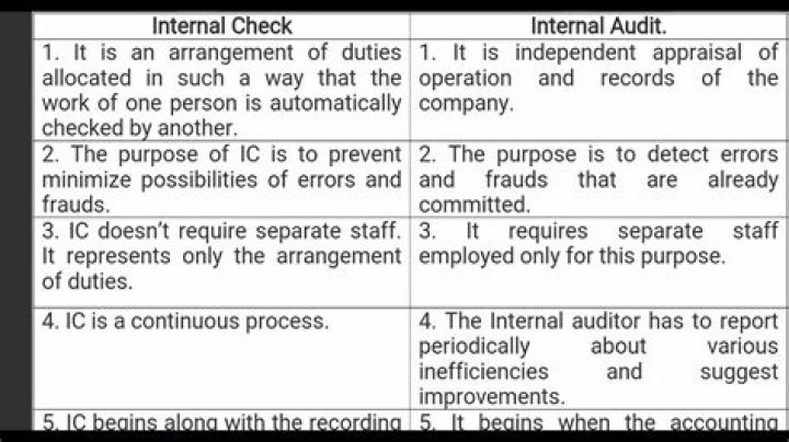 What are the types of internal check?