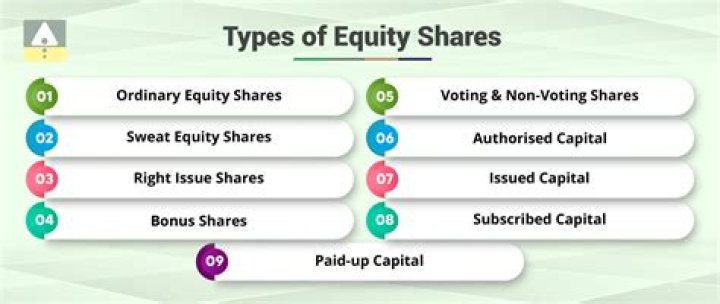 What are the types of shares you could invest in?