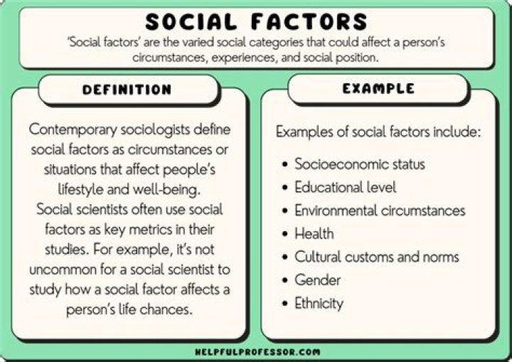 What are the types of social environment?