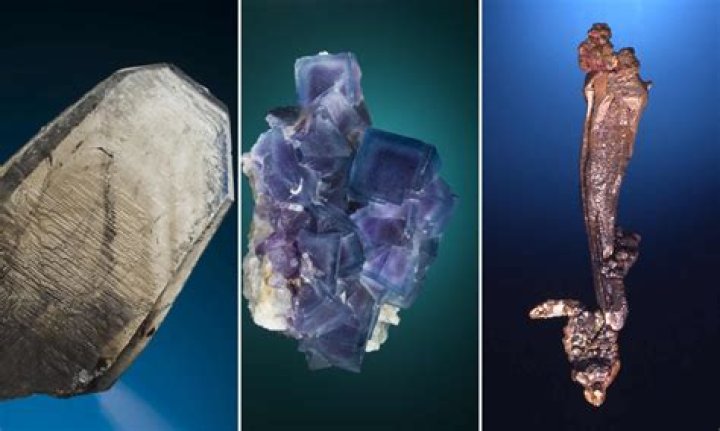 What are three activities of geologists?