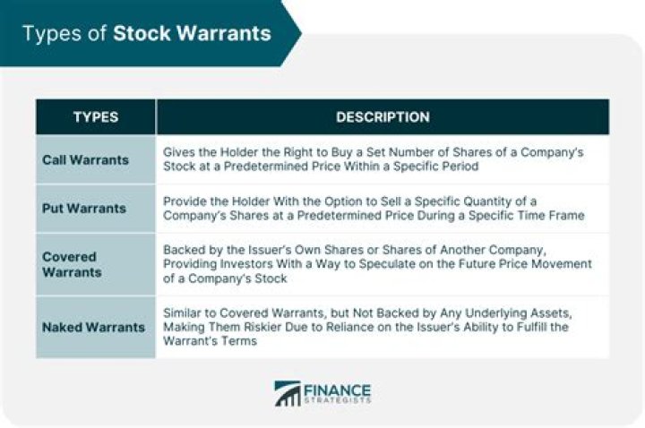 What are treasury warrants?
