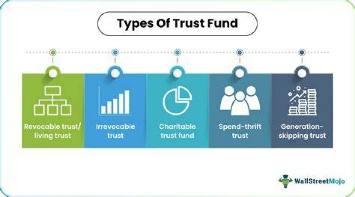 What are trust disbursements?