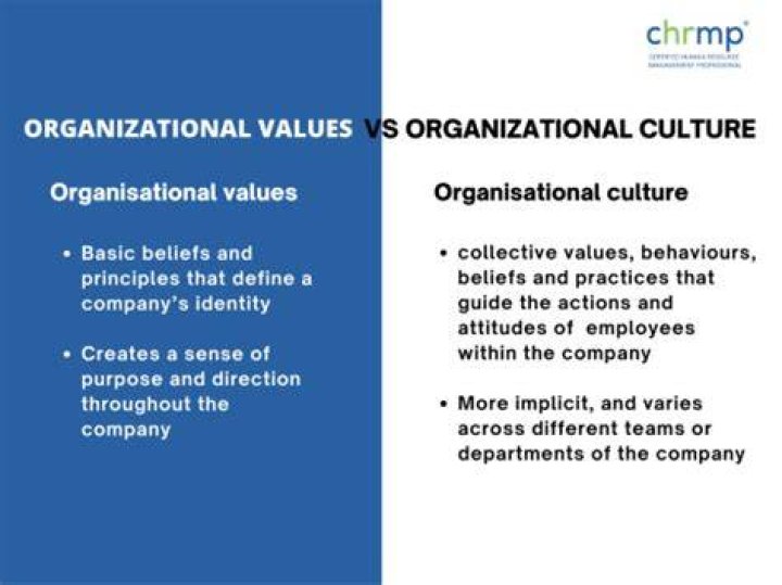 What are values in organizational culture?
