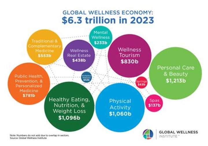 What are wellness opportunities?
