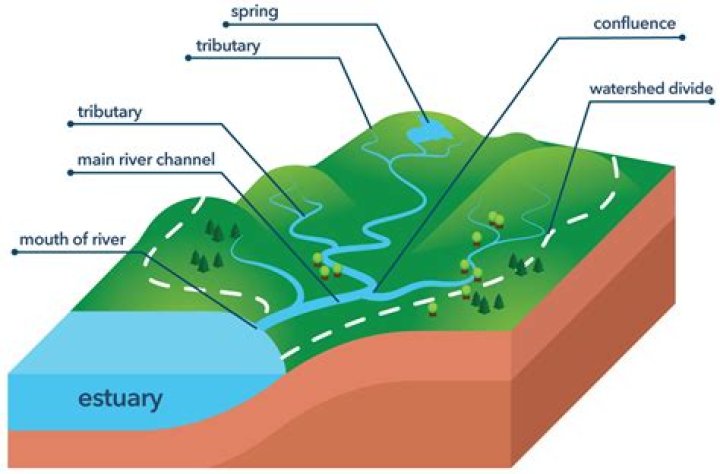 What best describes a tributary?