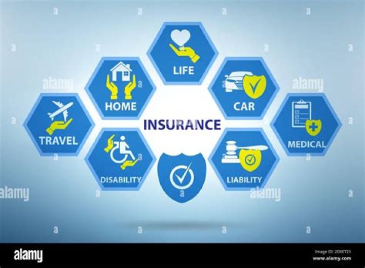 What business insurances are required by law?