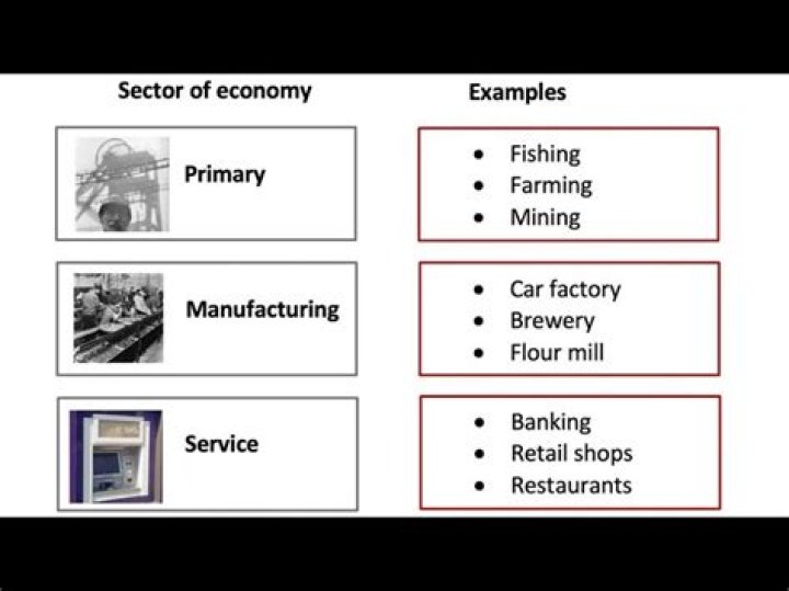 What businesses are in the secondary sector?