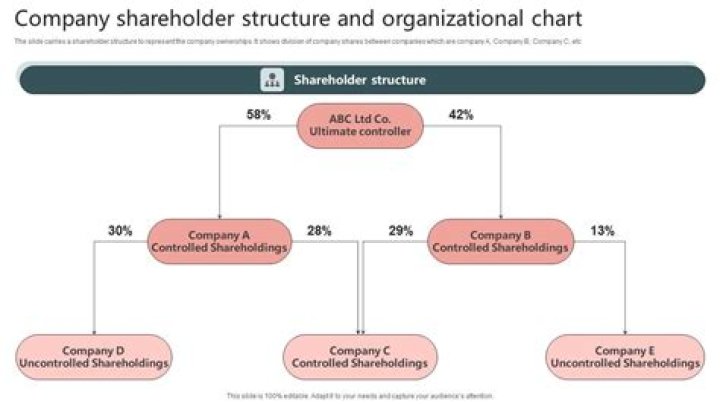 What can a 50% shareholder do?