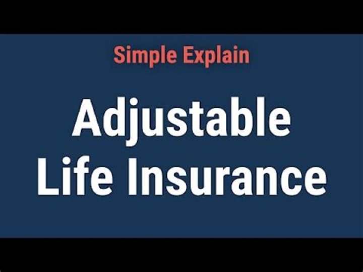 What can be changed in an adjustable life insurance policy?