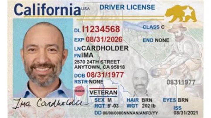 What can I do with a 2-20 license in Florida?