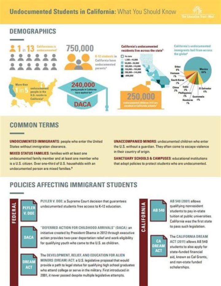 What can undocumented students do after college?