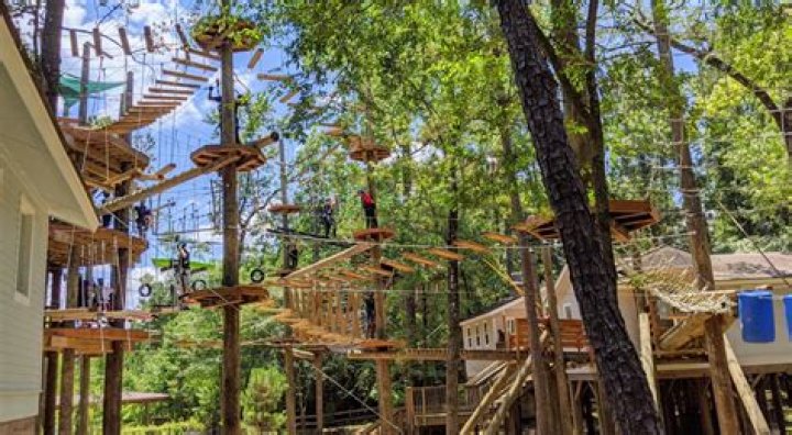 What can you do in The Woodlands for free?