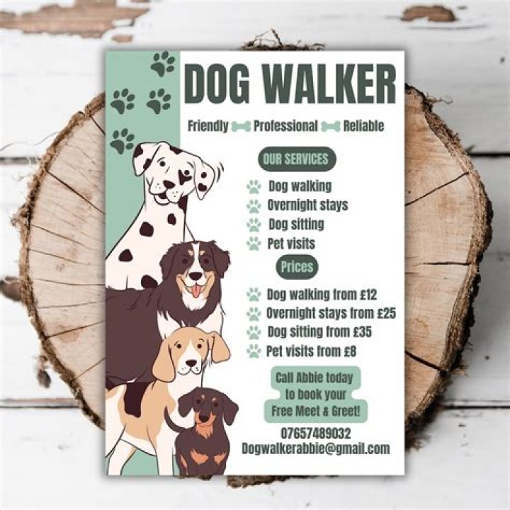 What can you do instead of dog walking?