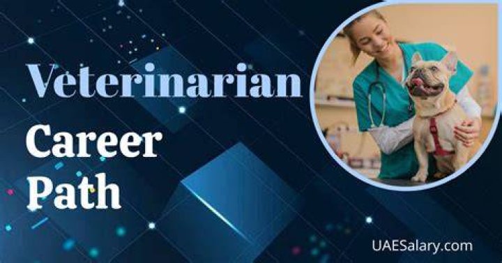 What career pathway does a veterinarian fall under?