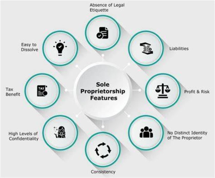 What challenges does the owner of a sole proprietorship face?