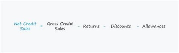 What comes under net credit sales?