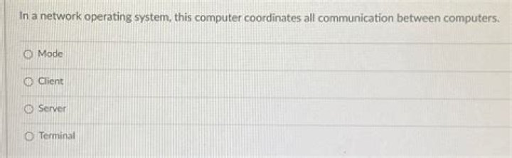 What coordinates all communication between computers?