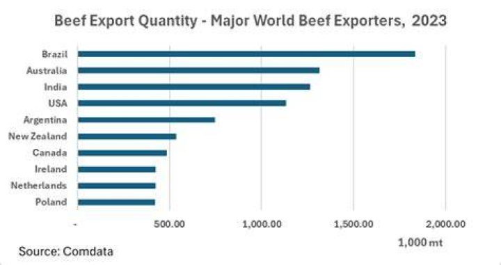 What countries export the most beef?