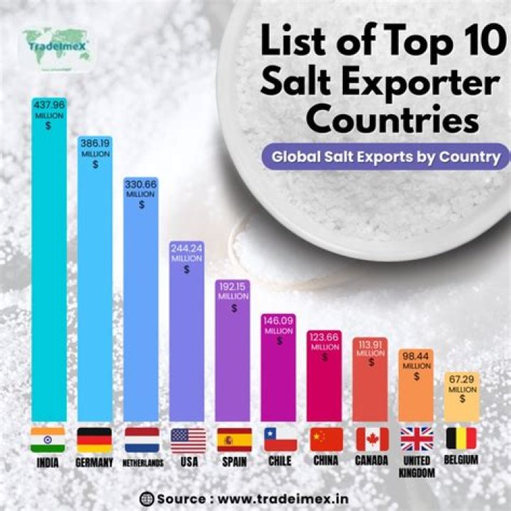 What country is the biggest exporter of salt?