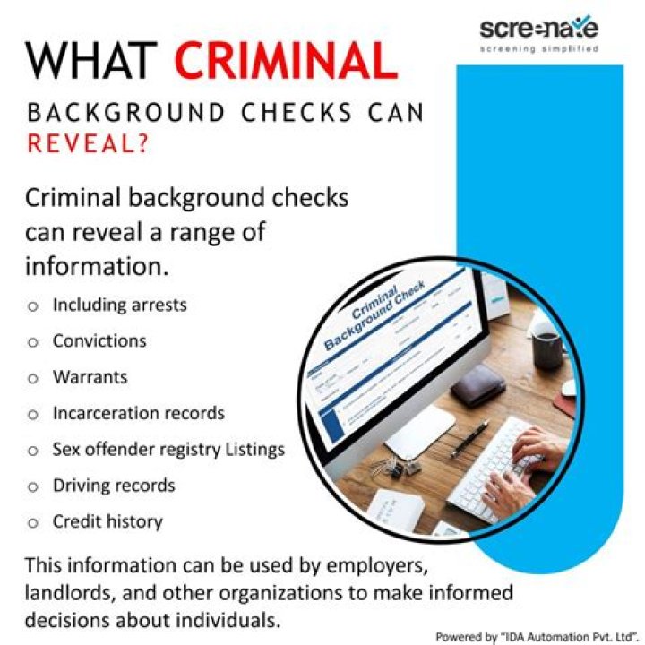 What criminal background companies do big companies hire?