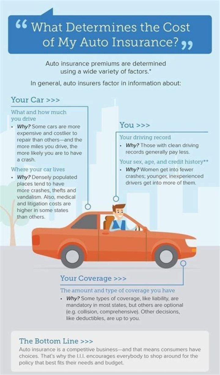 What determines your cost of insurance?