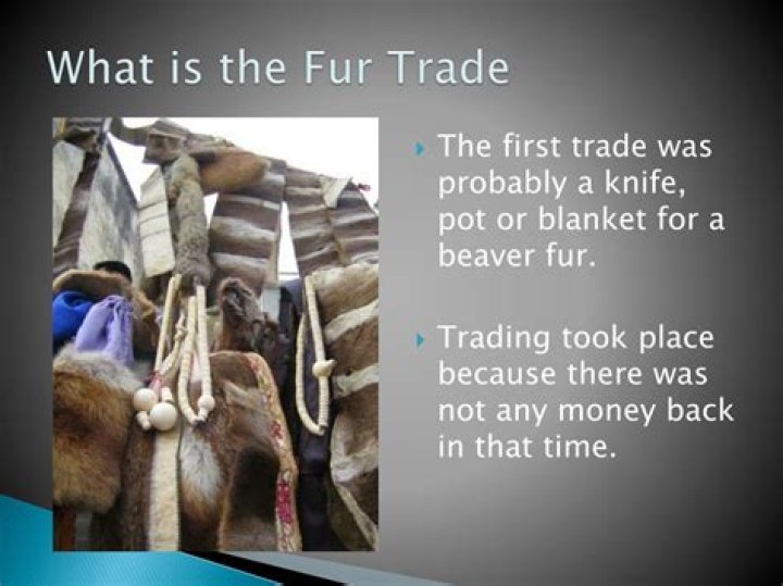 What did fur trade for?