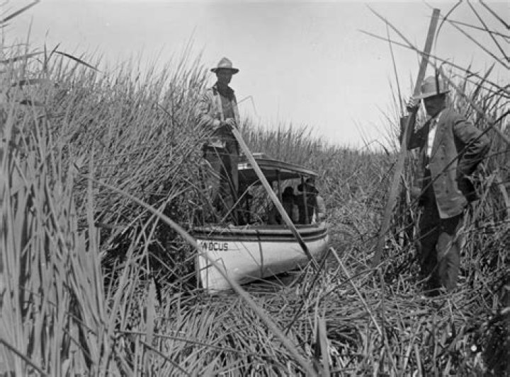 What did the Reclamation Act of 1902 do?
